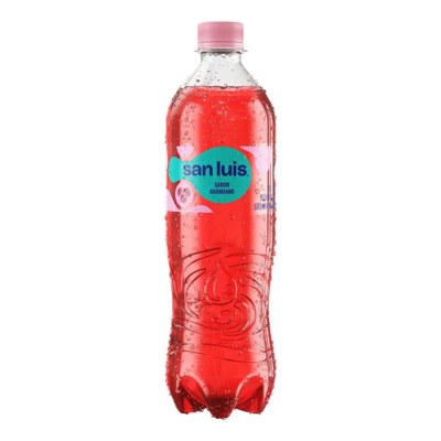 SAN LUIS ARANDANO PET X625ML